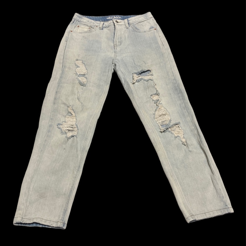 Wild Fable Distressed Jean